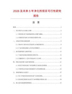 2026及未來5年凈化劑項(xiàng)目可行性研究報(bào)告