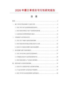 2026年霸王革項(xiàng)目可行性研究報(bào)告