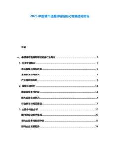 2025中國(guó)城市道路照明智能化發(fā)展趨勢(shì)報(bào)告