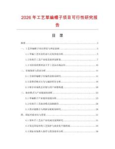2026年工藝草編帽子項(xiàng)目可行性研究報(bào)告