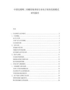 中國克霉唑二丙酸倍他米松行業(yè)電子商務(wù)發(fā)展模式研究報告