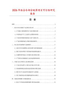 2026年組合冷卻分級篩項目可行性研究報告