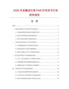 2026年金屬鹵化物PAR燈項(xiàng)目可行性研究報(bào)告