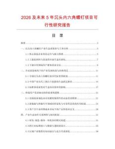 2026及未来5年沉头内六角螺钉项目可行性研究报告