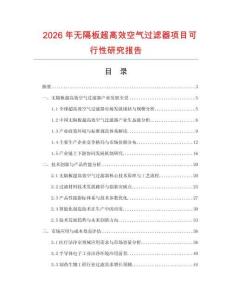 2026年無隔板超高效空氣過濾器項(xiàng)目可行性研究報(bào)告