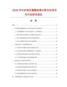2026年針織物亞氯酸鈉漂白聯合機項目可行性研究報告