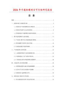 2026年卡通杯碟項(xiàng)目可行性研究報(bào)告