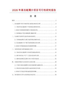 2026年高功能薄片項目可行性研究報告
