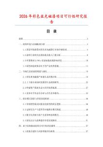 2026年彩色亞光磁漆項目可行性研究報告