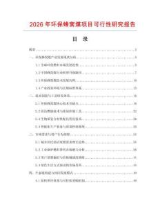 2026年環保蜂窩煤項目可行性研究報告