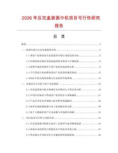 2026年壓花盒裝面巾機項目可行性研究報告