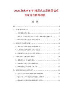 2026及未來5年Ⅰ液壓式三層熱壓機項目可行性研究報告