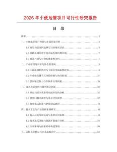 2026年小便池管項目可行性研究報告