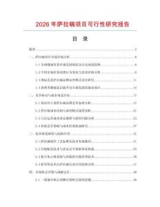 2026年薩拉碗項(xiàng)目可行性研究報(bào)告