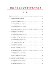 2026年小矩形管項(xiàng)目可行性研究報告