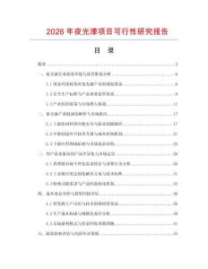 2026年夜光漆項(xiàng)目可行性研究報(bào)告