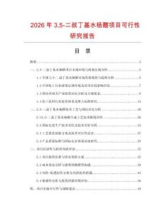 2026年35-二叔丁基水楊醛項(xiàng)目可行性研究報(bào)告