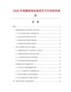2026年硅酸鋁甩絲毯項目可行性研究報告