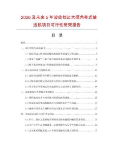 2026及未來5年波紋檔邊大傾角帶式輸送機項目可行性研究報告