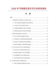 2026年氣球插花項目可行性研究報告