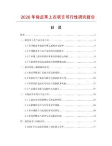 2026年豬皮革上衣項目可行性研究報告
