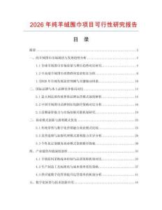 2026年純羊絨圍巾項目可行性研究報告