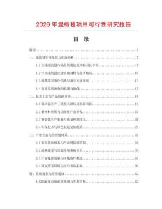 2026年混紡毯項(xiàng)目可行性研究報(bào)告