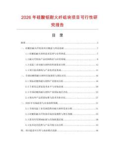 2026年硅酸鋁耐火纖組塊項目可行性研究報告
