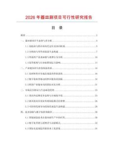 2026年器皿刷項目可行性研究報告