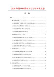 2026年餐巾紙袋項目可行性研究報告