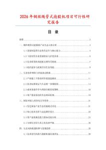 2026年鋼絲繩管式捻股機項目可行性研究報告