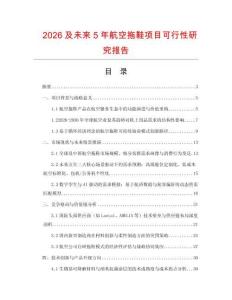 2026及未來(lái)5年航空拖鞋項(xiàng)目可行性研究報(bào)告