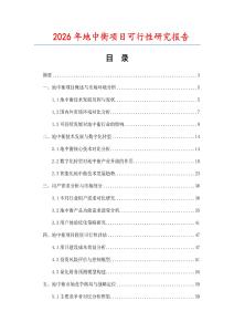 2026年地中衡項(xiàng)目可行性研究報(bào)告