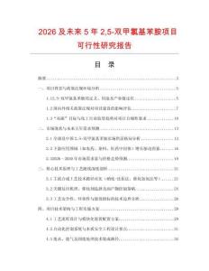 2026及未來5年25-雙甲氯基苯胺項目可行性研究報告