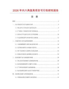 2026年内六角旋具项目可行性研究报告