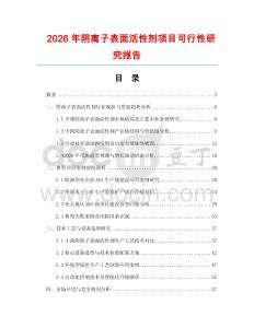 2026年陰離子表面活性劑項(xiàng)目可行性研究報(bào)告