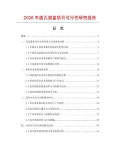 2026年直孔滾盤項目可行性研究報告