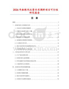 2026年麻辣肉漢堡專用調(diào)料項目可行性研究報告