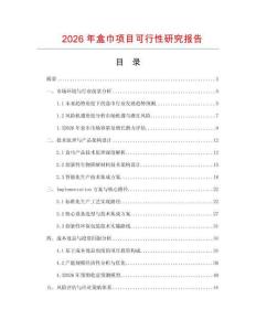 2026年盒巾項目可行性研究報告
