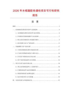 2026年水相凝膠色譜柱項(xiàng)目可行性研究報(bào)告