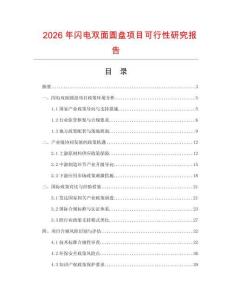 2026年閃電雙面圓盤項(xiàng)目可行性研究報告