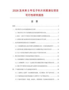 2026及未來5年石子針片狀規(guī)準(zhǔn)儀項目可行性研究報告
