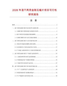 2026年濕干兩用金剛石鋸片項(xiàng)目可行性研究報(bào)告