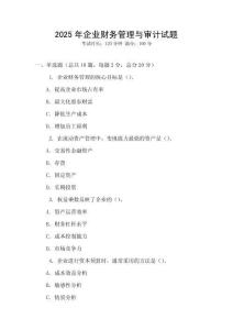 2025年企業財務管理與審計試題