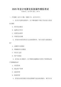 2025年會計(jì)電算化實(shí)務(wù)操作模擬考試