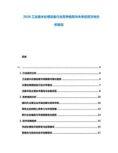 2026工業(yè)廢水處理設(shè)備行業(yè)競(jìng)爭(zhēng)格局與未來(lái)投資方向分析報(bào)告