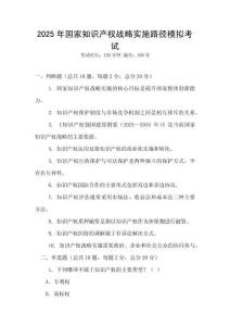 2025年國(guó)家知識(shí)產(chǎn)權(quán)戰(zhàn)略實(shí)施路徑模擬考試