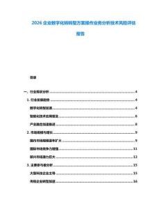 2026企業(yè)數(shù)字化轉(zhuǎn)轉(zhuǎn)型方案操作業(yè)務(wù)分析技術(shù)風(fēng)險(xiǎn)評(píng)估報(bào)告