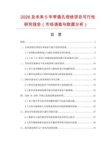 2026及未來5年帶插孔母線項(xiàng)目可行性研究報(bào)告（市場(chǎng)調(diào)查與數(shù)據(jù)分析）