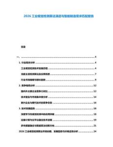 2026工業(yè)視覺檢測算法演進與智能制造需求匹配報告